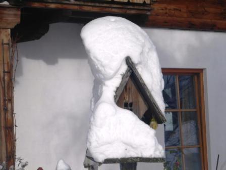 Oberreitlehen Appartement Bischofswiesen