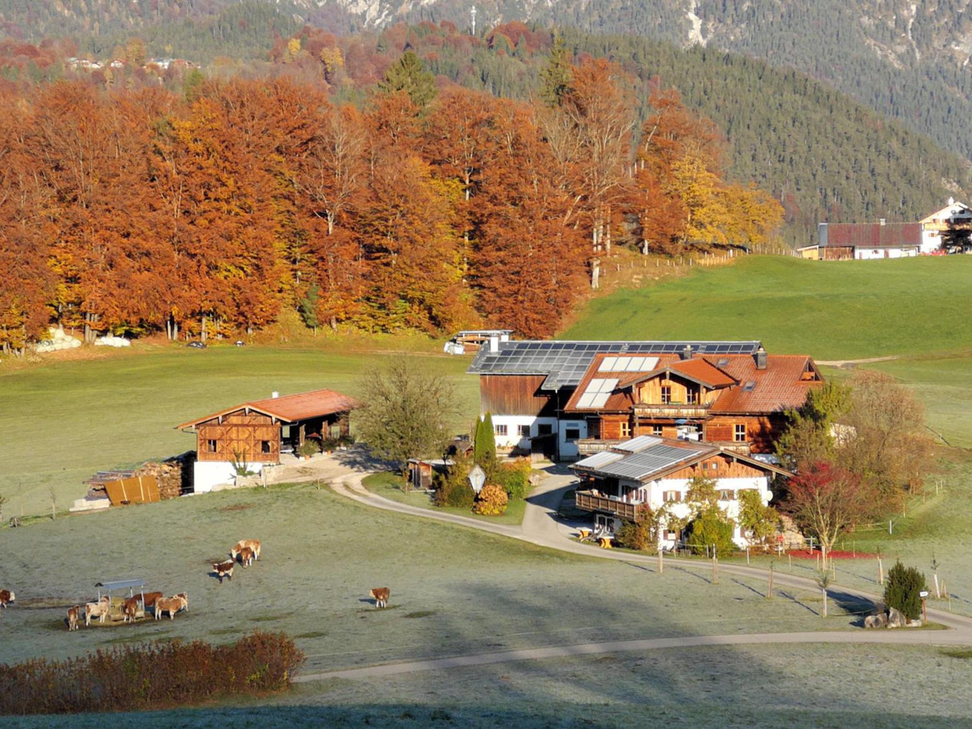Oberreitlehen *
